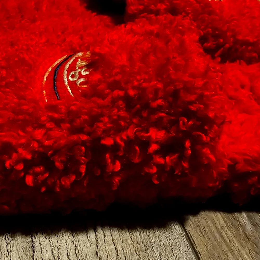 Balenciaga Red Slides - Picture 5 of 11